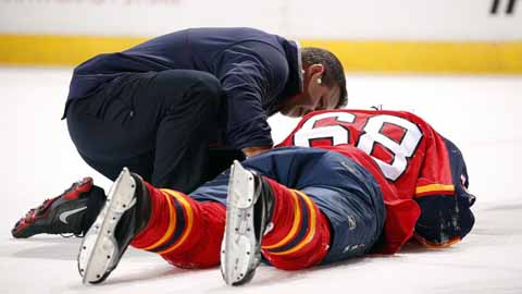 career cluster image of a Athletic Trainers job occupation
